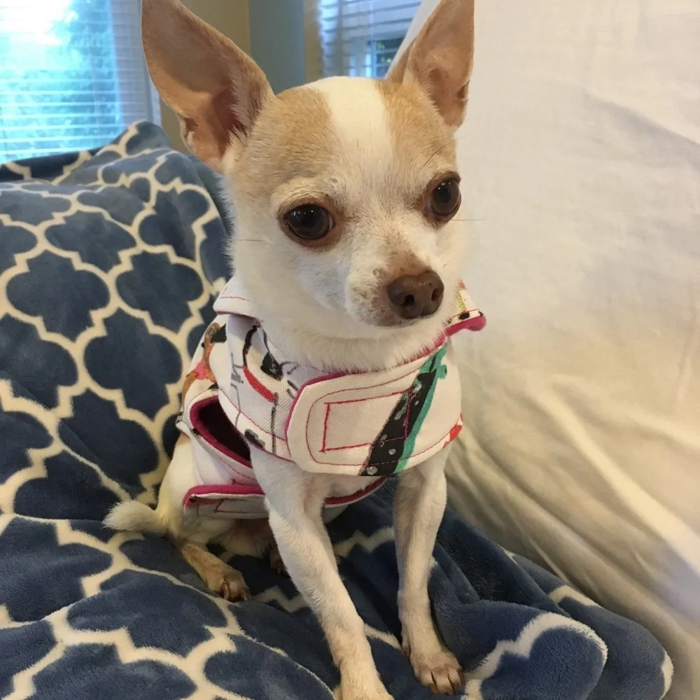 Dog jacket - hand made 💕